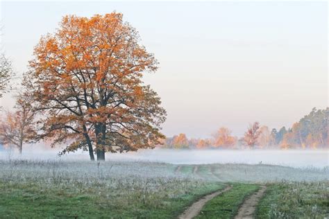 Early autumn scenery Stock Photo free download