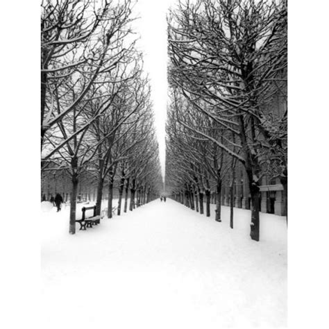 The Tuileries Garden under the snow, Paris