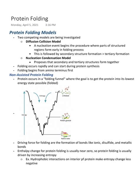 Biochem Protein Folding - Lecture notes Week 2 lecture 3 - 153A - UCLA ...