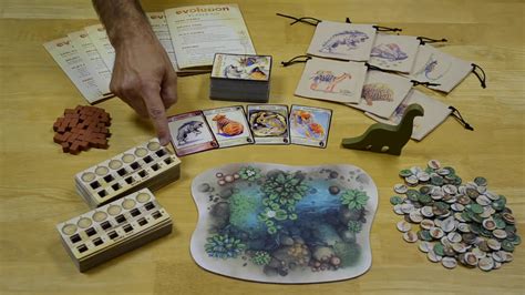 Evolution Board Game - How to Play - North Star Games - YouTube