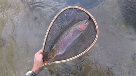 DIY Guide to Fly Fishing Big Spring Creek in South-Central Pennsylvania ...