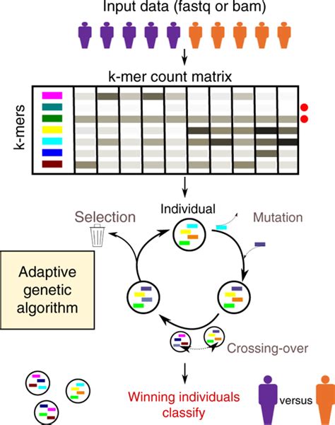 GECKO is a genetic algorithm to classify and explore high throughput sequencing data ...