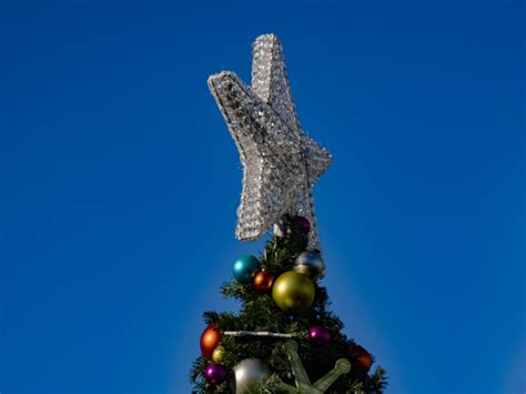 Tree Top Star Christmas Free Stock Photo - Public Domain Pictures