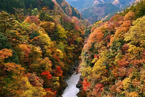 10+ Best Places to See Autumn Scenery in Japan - Japan Inside