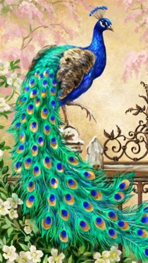 Peacock Android Phone Wallpapers - Wallpaper Cave