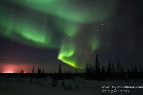 The Northern Lights in Churchill, Manitoba Kept Me Awake | Stay Adventurous | Mindset for Travel ...