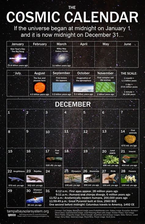 Cosmic Calendar | Cosmic calendar, Astronomy facts, Cosmic