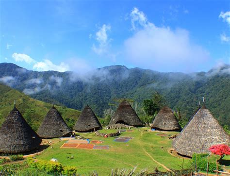 Waerebo West Flores | Komodo Tours | Komodo Tour Packages | Flores ...