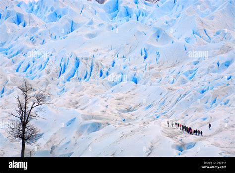 Perito Moreno glacier. Lake Argentino, Santa Cruz, Argentina Stock ...