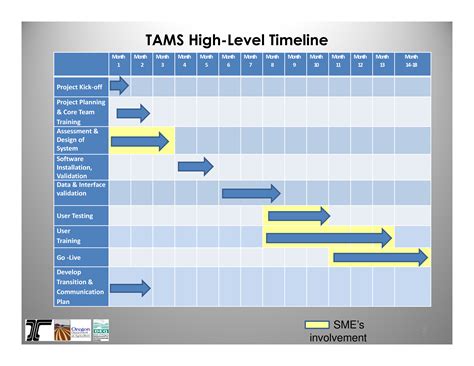 Project Management High Level Timeline | Templates at allbusinesstemplates.com