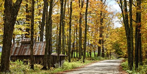 America’s Best Autumn Hiking Trails - American Lifestyle Magazine