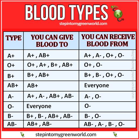 Blood Type Ab Can Donate Blood To Type A And B True Or False - Blood Type Articles