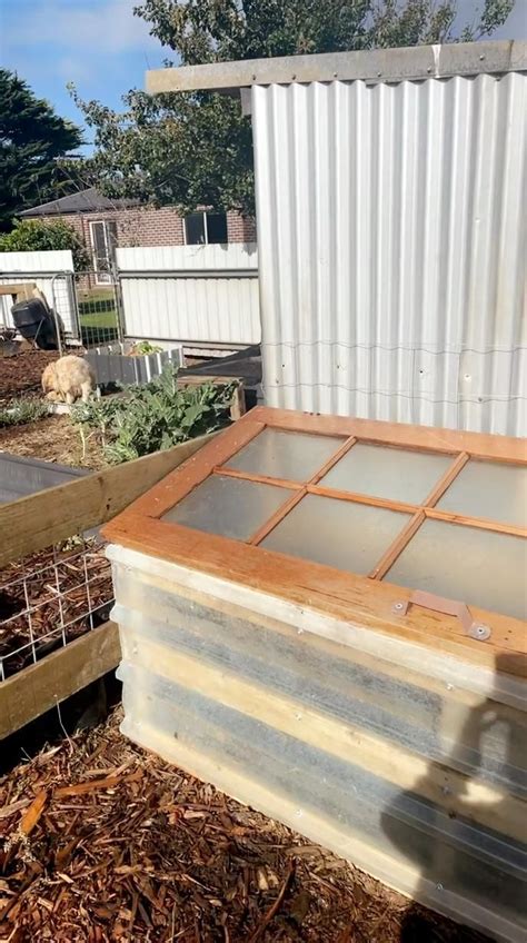 Diy greenhouse made from recycled materials – Artofit