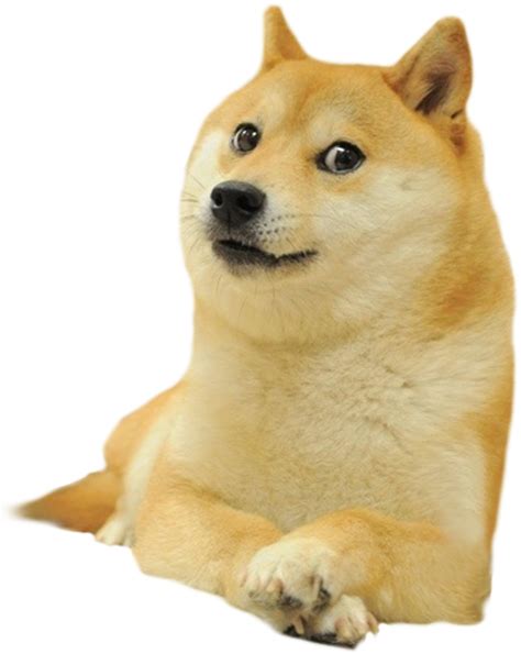 Doge : r/cutouts