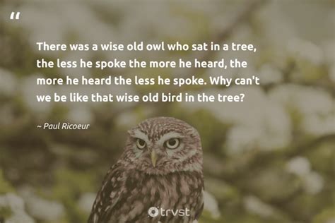 43 Owl Quotes, Captions, and Sayings to Make You Wiser