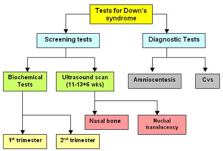 Diagnosis - Down's syndrome