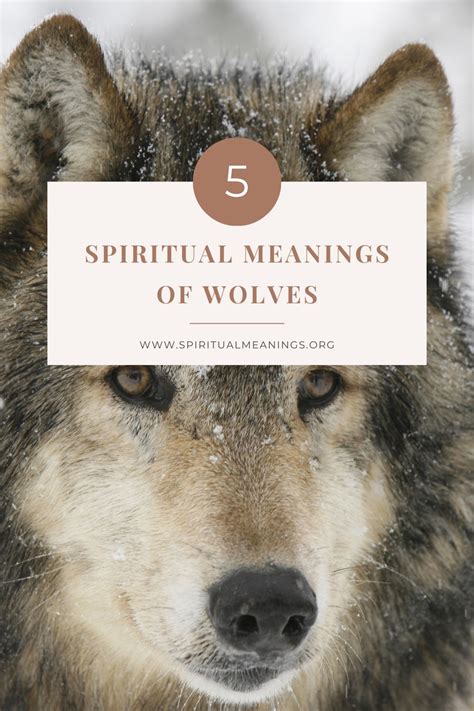 5 Spiritual Meanings of Wolf (Symbolism) - SpiritualMeanings.org