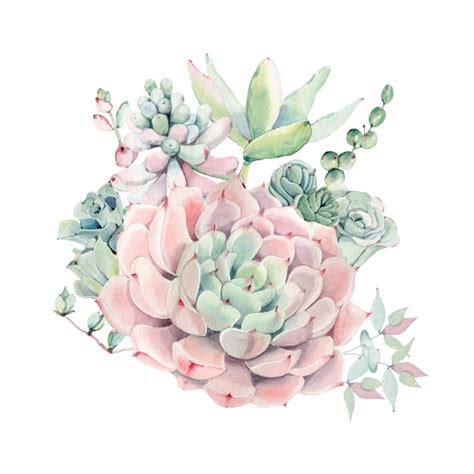 Beautiful Watercolor Succulents - Succulent - T-Shirt | TeePublic