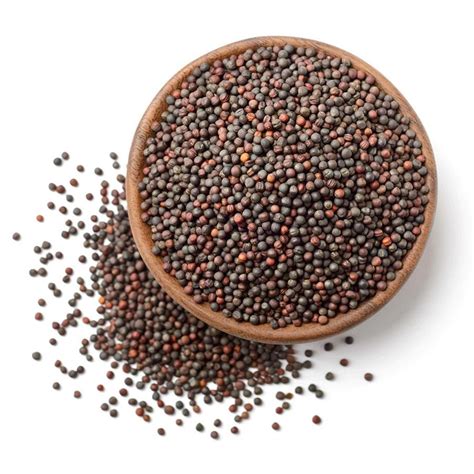 Brown Mustard Seeds - (Sarso Whole) - NY Spice Shop Paleo Honey Mustard ...