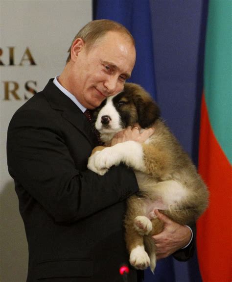 Our favorite photos of Vladimir Putin cuddling adorable soft fuzzy animals / Boing Boing