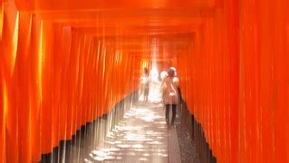 Light shower at Fushimi Inari torii gates, Kyoto | coniferconifer | Flickr