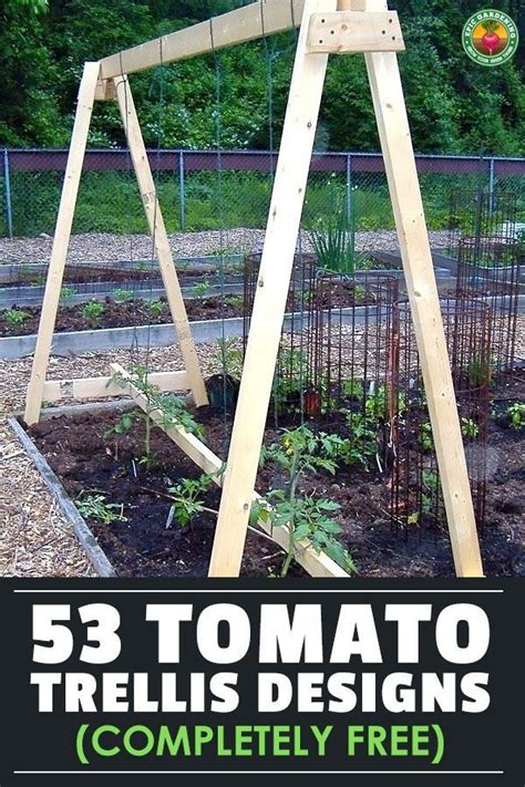 10 Tomato Trellis Designs for Your Garden