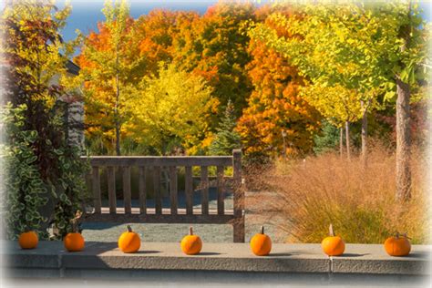 7 of the HOTtest Spots for Fall Colors in MN | Welter Heating