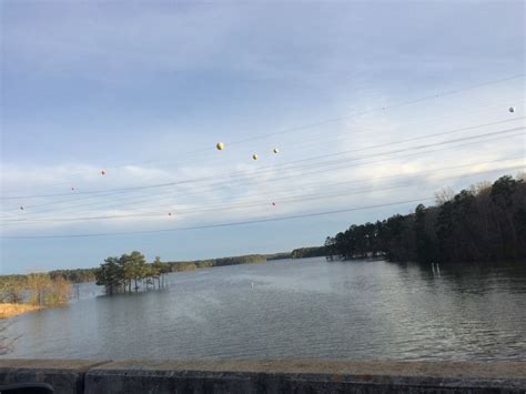 Lake Allatoona | Mother nature, Nature, Lake