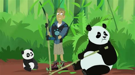 Panda Power Up! | Wild Kratts Wiki | FANDOM powered by Wikia