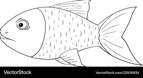 Fish outline drawing Royalty Free Vector Image