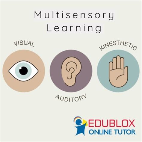 Multisensory Learning Strategies: The Senses in the Service of Learning - Edublox Online Tutor ...