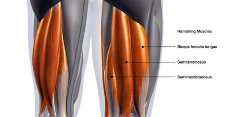 Aspetar - Hamstring Injury