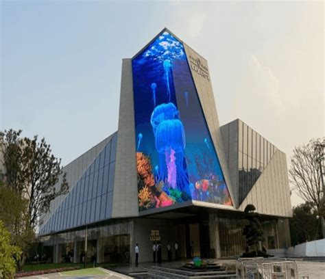 3D LED Display | 3D Effect LED Screen | 3D LED Billboard | 3D LED Wall