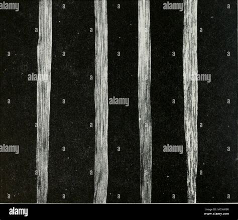 Mottling soil hi-res stock photography and images - Alamy