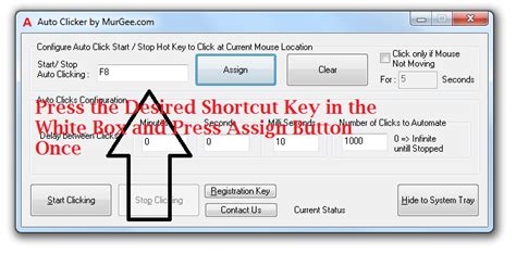 How to Use MurGee Auto Clicker