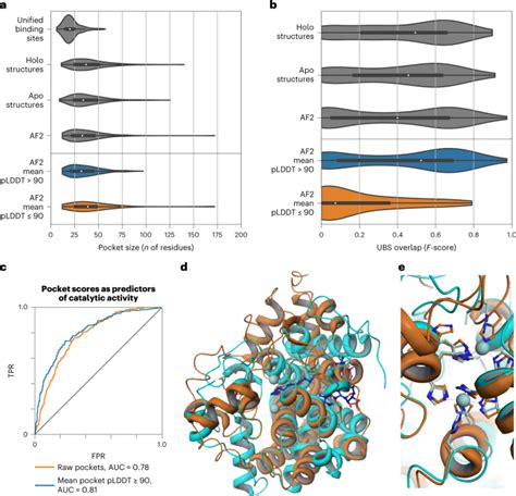 A structural biology community assessment of AlphaFold2 applications - PMC