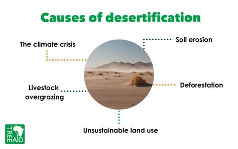 How to tackle desertification and bring Africa's degraded landscapes ...