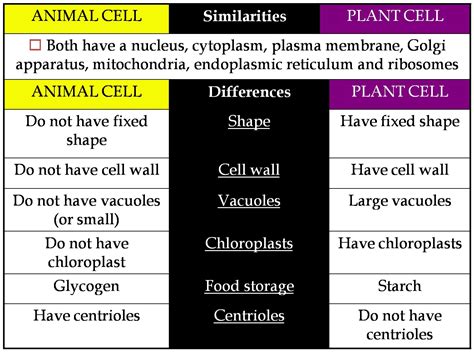 Animal Cells And Plant Cells Comparison Chart