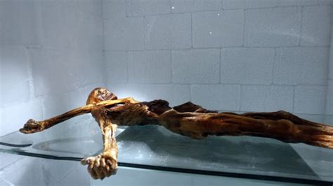 Iceman otzi: Alpine mummy wore leather, leggings | CTV News