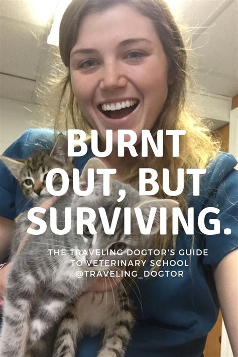 Burnt out, but surviving! » The Traveling Dogtor - Are you feeling burnt out?