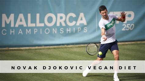 Novak Djokovic Amazing Speech About Being Vegan – VeganFanatic.com