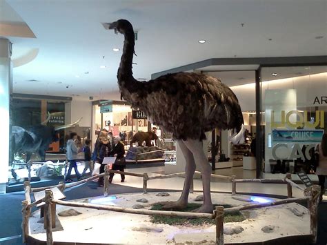 The now extinct Moa was an ABSOLUTE EMUNIT : AbsoluteUnits