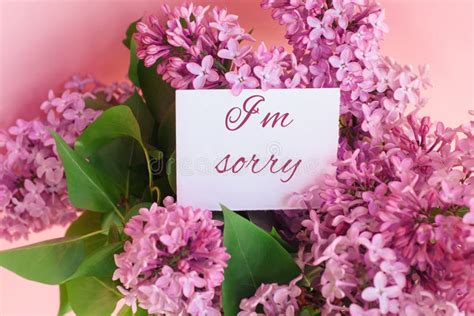 Card With The Words I`m Sorry In A Beautiful Bright Bouquet Of Flowers Stock Image - Image of ...