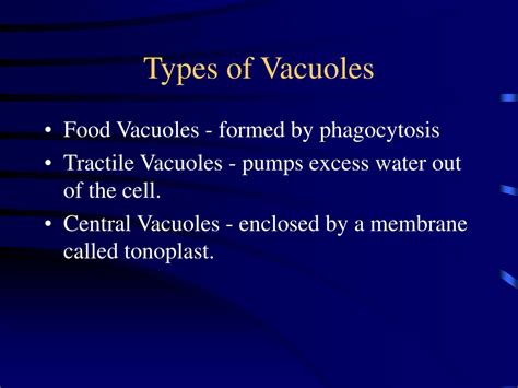 PPT - Vacuole PowerPoint Presentation, free download - ID:9574431