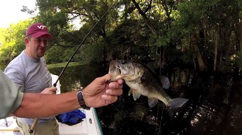 Let's go Fishing in Palatka, FL on the St. Johns River! - YouTube