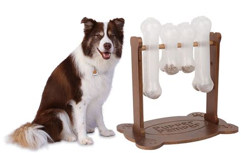 Want a Canine Einstein? Here are 8 Interactive Toys and Puzzles to Help ...