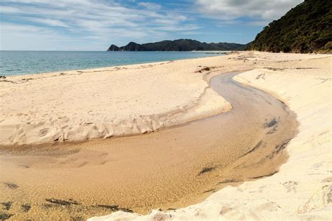 Goat Bay Abel Tasman, Great Walks, Beautiful Forest, Best Hikes, New Zealand, Goat, Hiking ...