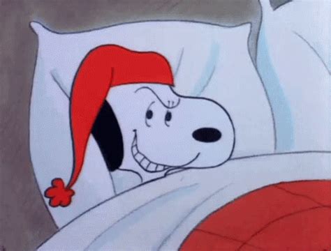 Snoopy Good Night GIF - Snoopy GoodNight - Discover & Share GIFs