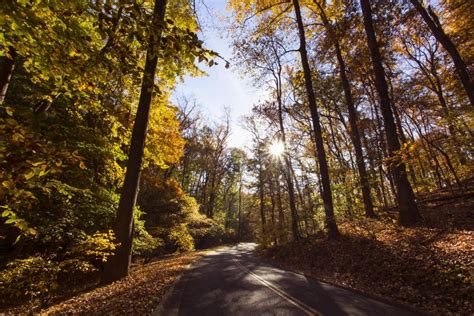 Rock Creek Park | Find Your Park