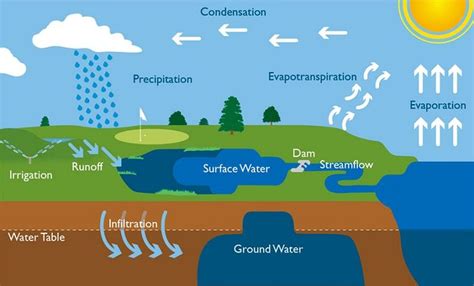 Water Cycle Explanation - Jcilaboratory.com The cycle of processes by which water circulates ...